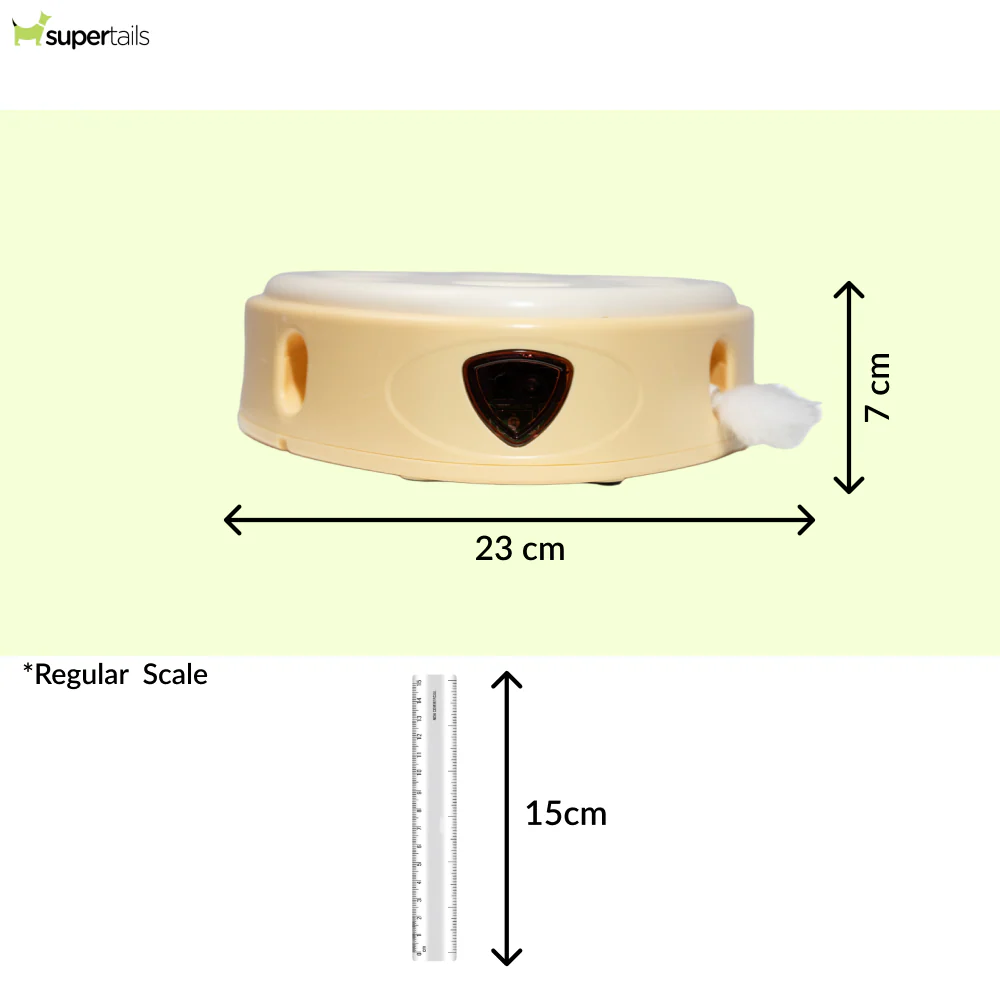 Barkbutler x Fofos Cheese Box Interactive Toy for Cats - Image 2