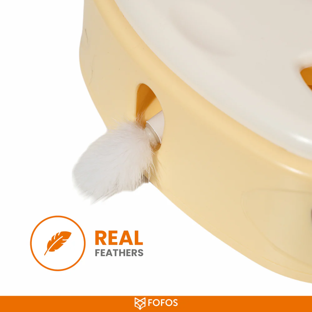 Barkbutler x Fofos Cheese Box Interactive Toy for Cats - Image 5