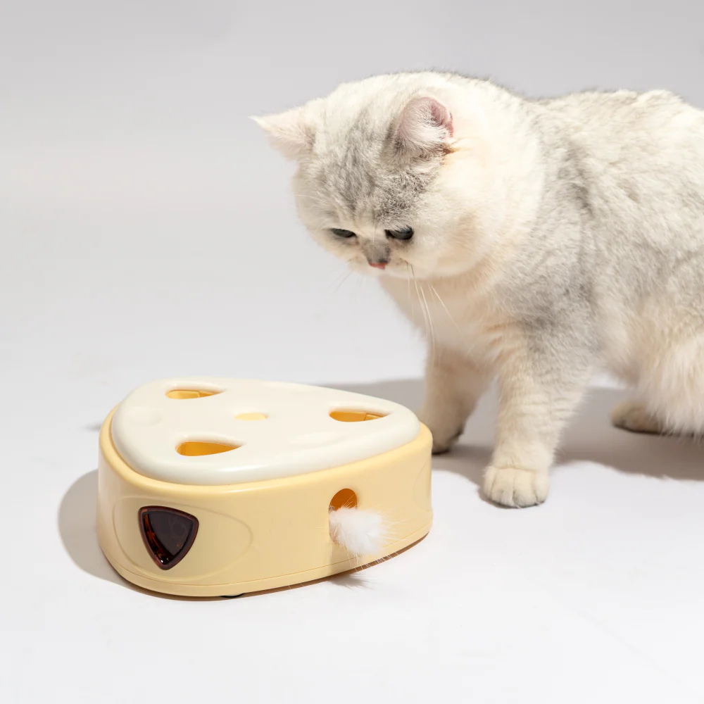 Barkbutler x Fofos Cheese Box Interactive Toy for Cats - Image 8