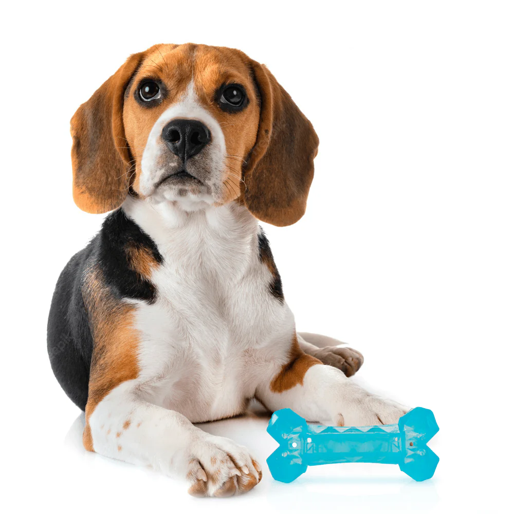 Barkbutler x Fofos Cooling Bone Freezable Chew Toy for Dogs (Blue) - Image 9