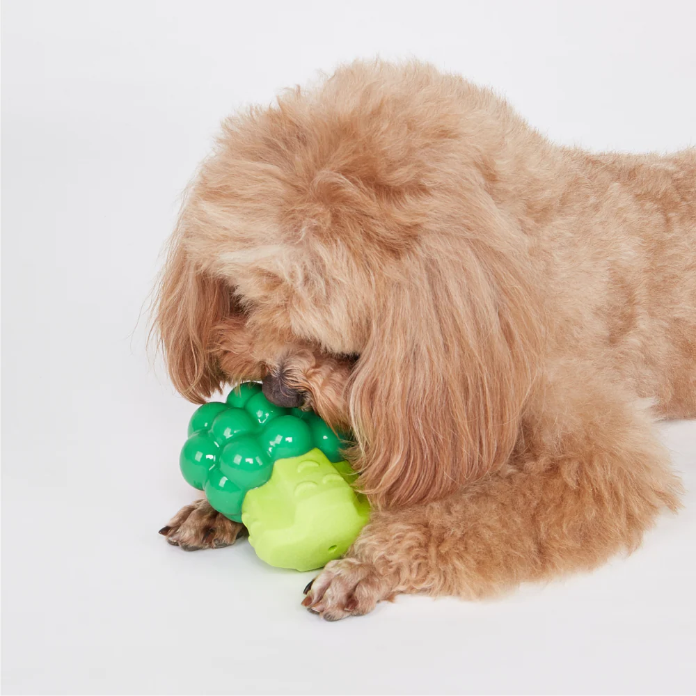 Barkbutler x Fofos Giggling Vegi Bites Broccoli Squeaky Chew Toy for Dogs - Image 6