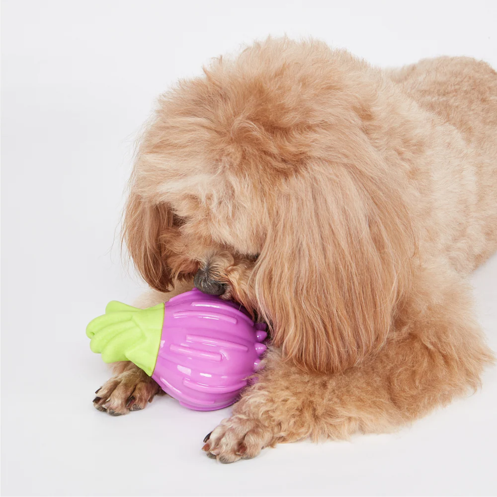 Barkbutler x Fofos Giggling Vegi Bites Onion Squeaky Chew Toy for Dogs - Image 7
