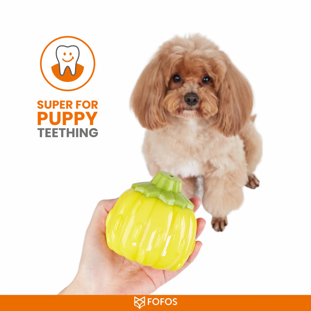 Barkbutler x Fofos Giggling Vegi Bites Pumpkin Squeaky Chew Toy for Dogs - Image 4