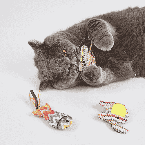 Barkbutler x Fofos Interactive Catnip Chic Toy for Cats - Image 6