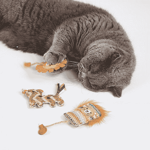 Barkbutler x Fofos Interactive Catnip Chic Toy for Cats - Image 6
