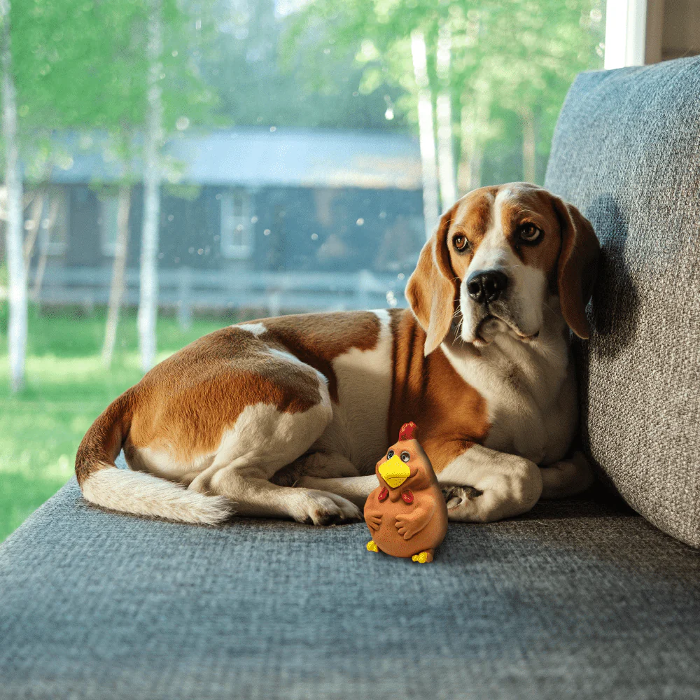 Barkbutler x Fofos Latex Bi Rooster Squeaky Toy for Dogs (Brown) - Image 9