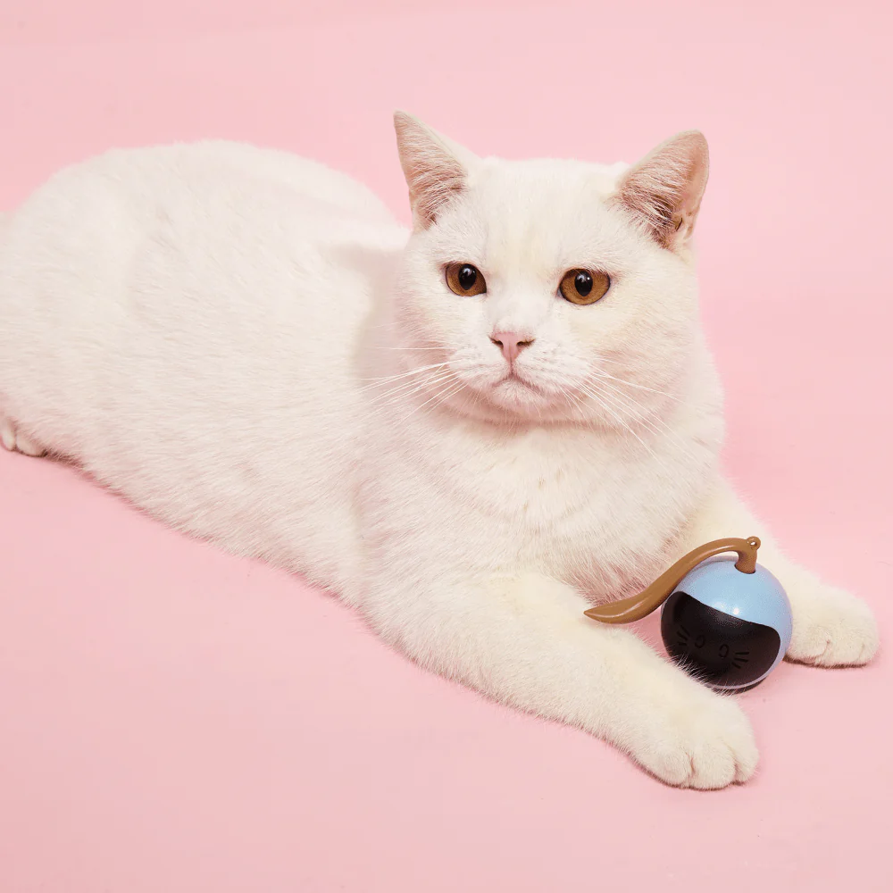 Barkbutler x Fofos Magic Ball Tumbler Smart Toy for Cats (White) - Image 7
