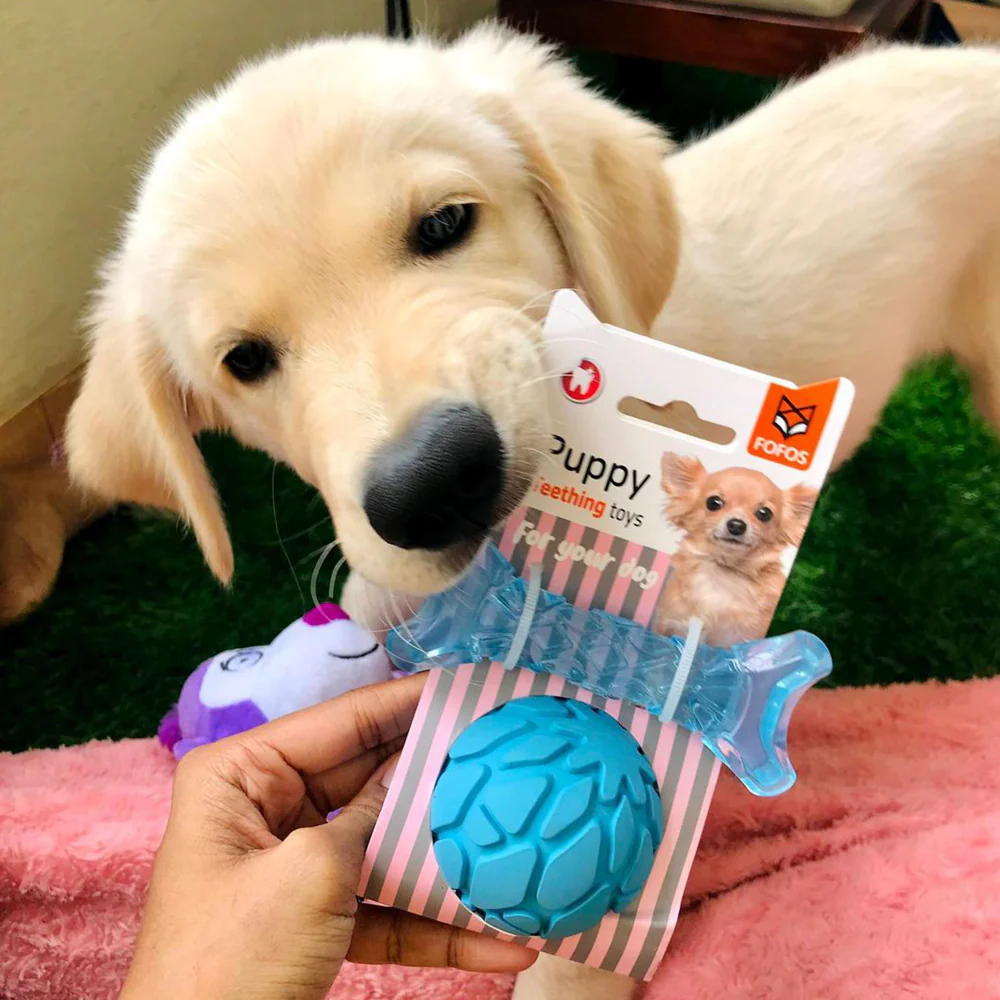Barkbutler x Fofos Milk Bone & Ball Durable Interactive Chew Toy for Dogs (Blue) - Image 9