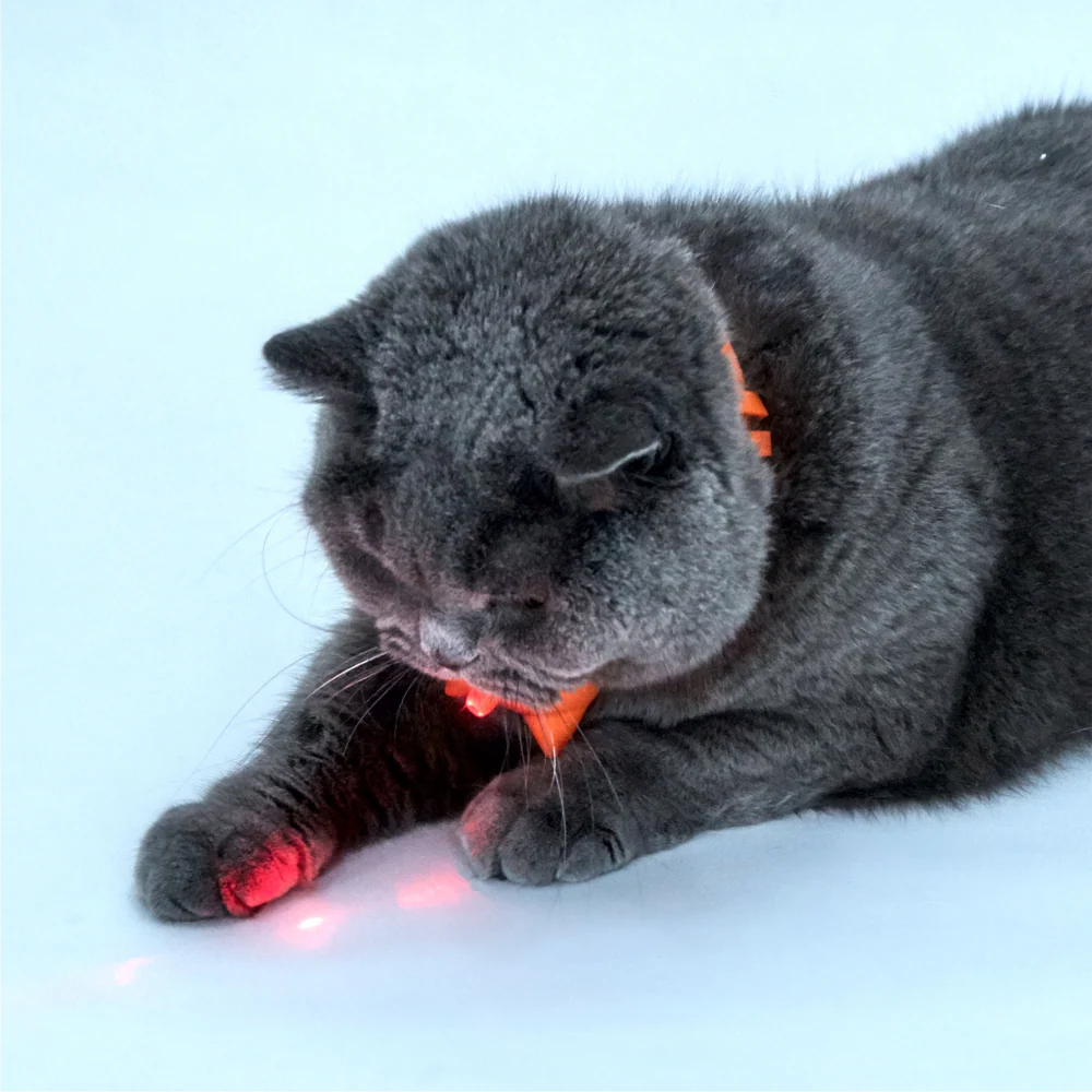 Barkbutler x Fofos Rechargeable Laser Collar Smart Toy for Cats - Image 8