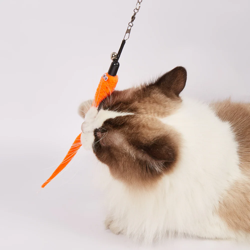 Barkbutler x Fofos Retractable Worm Teaser Toy with Catnip for Cats - Image 6