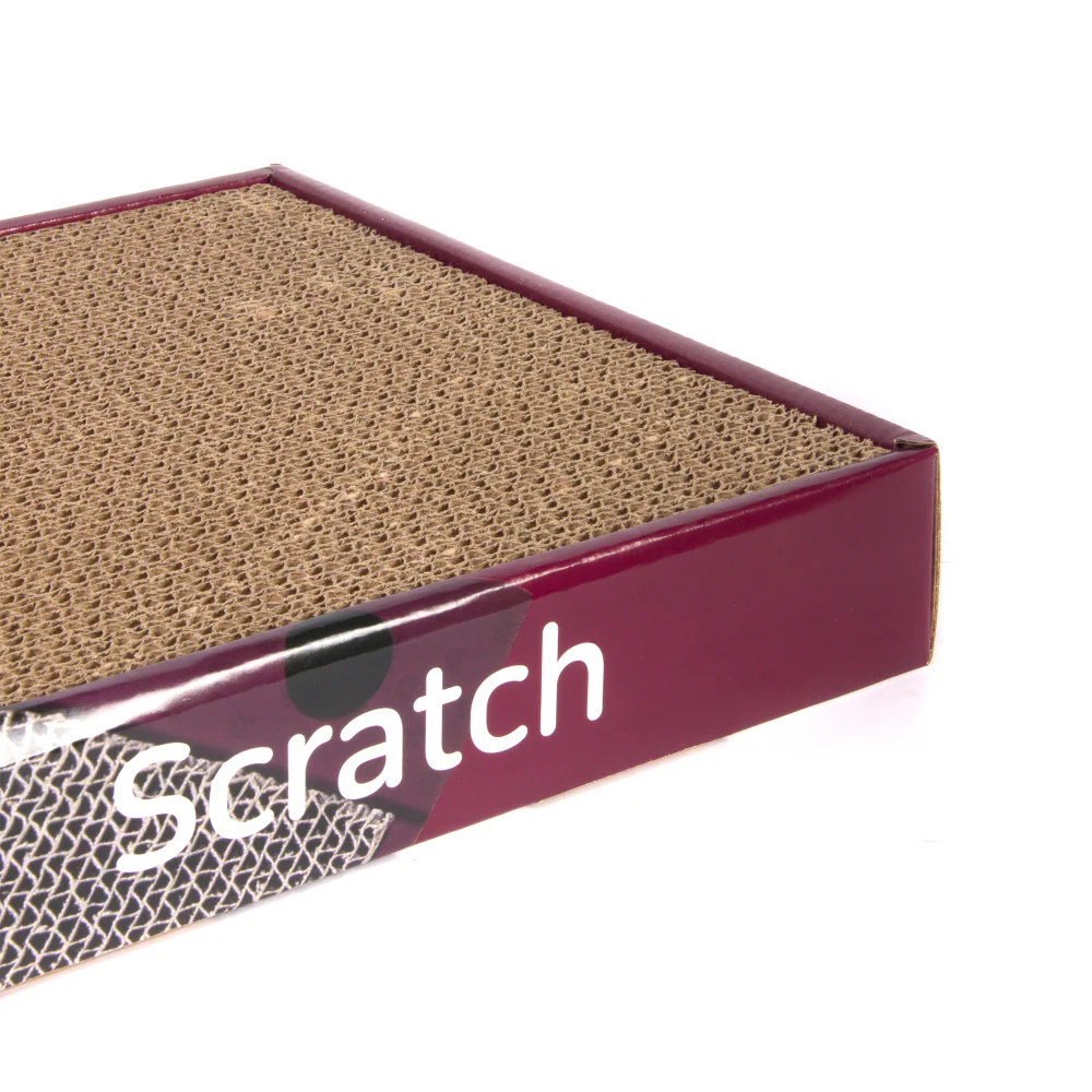 Barkbutler x Fofos Rock & Roll Play Box Scratcher Toys for Cats - Image 4