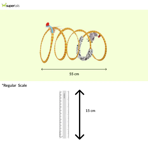 Barkbutler x Fofos Safari Spiral Tunnel Toy for Cats - Image 2