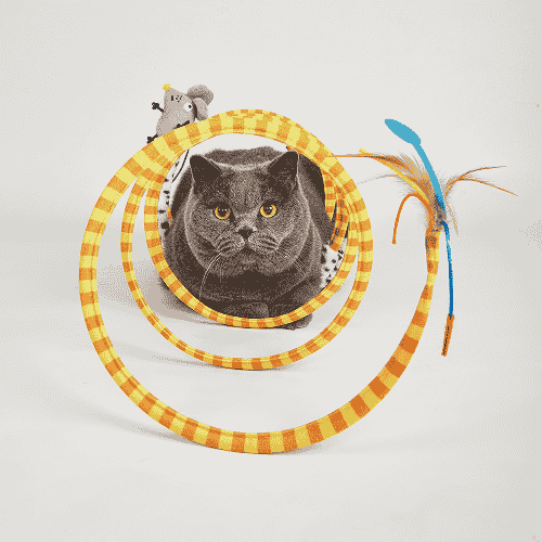 Barkbutler x Fofos Safari Spiral Tunnel Toy for Cats - Image 5