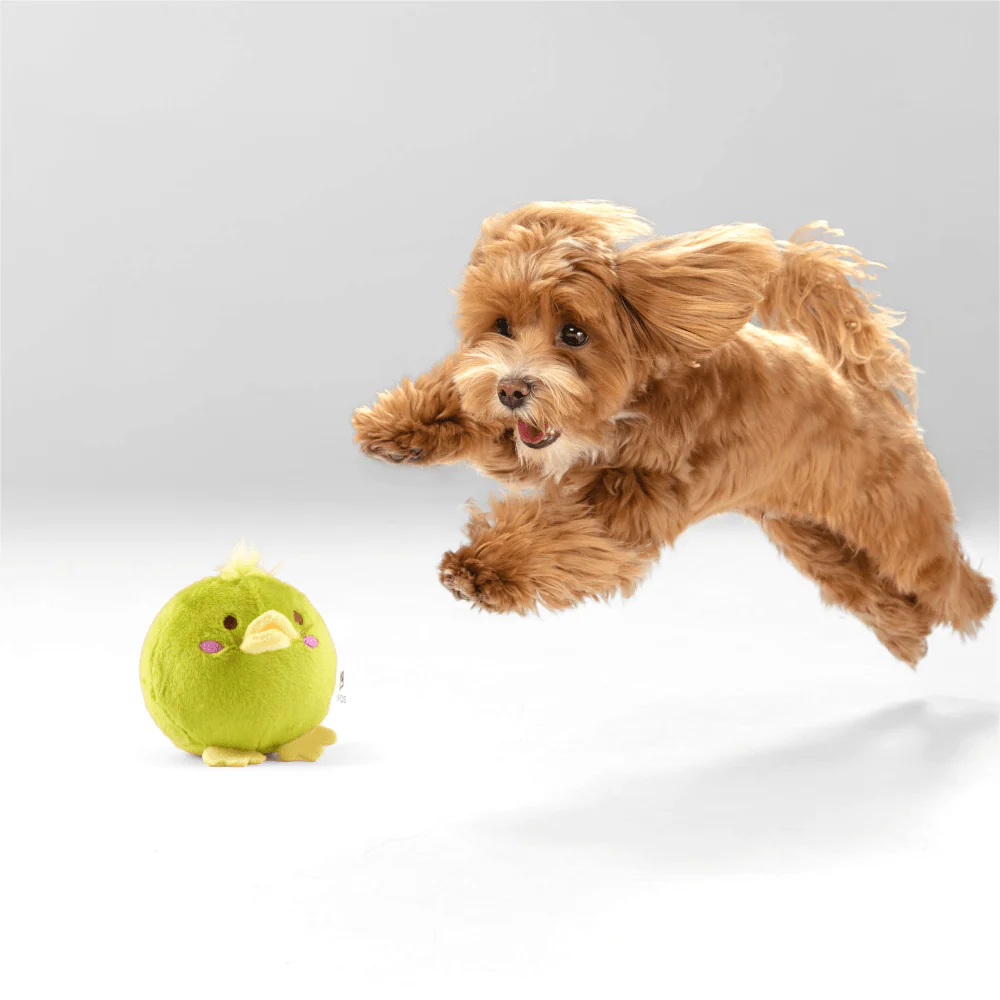 Barkbutler x Fofos Slow Rising Animal Toy Set for Dogs (Green) - Image 8