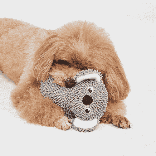 Barkbutler x Fofos Tough Koala Chew Toy for Dogs - Image 3