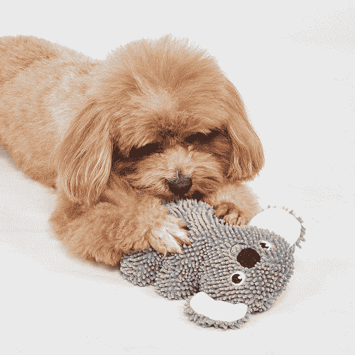 Barkbutler x Fofos Tough Koala Chew Toy for Dogs - Image 4