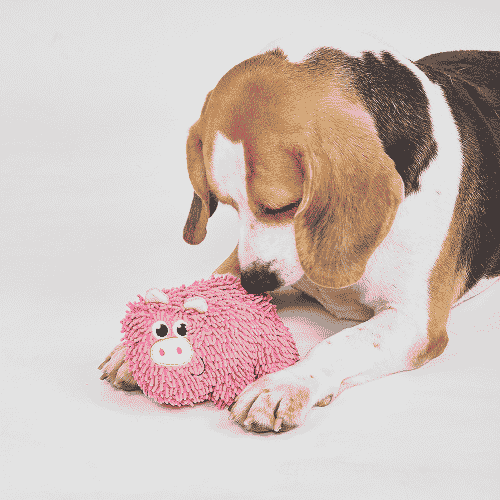 Barkbutler x Fofos Tough Pig Chew Toy for Dogs - Image 5