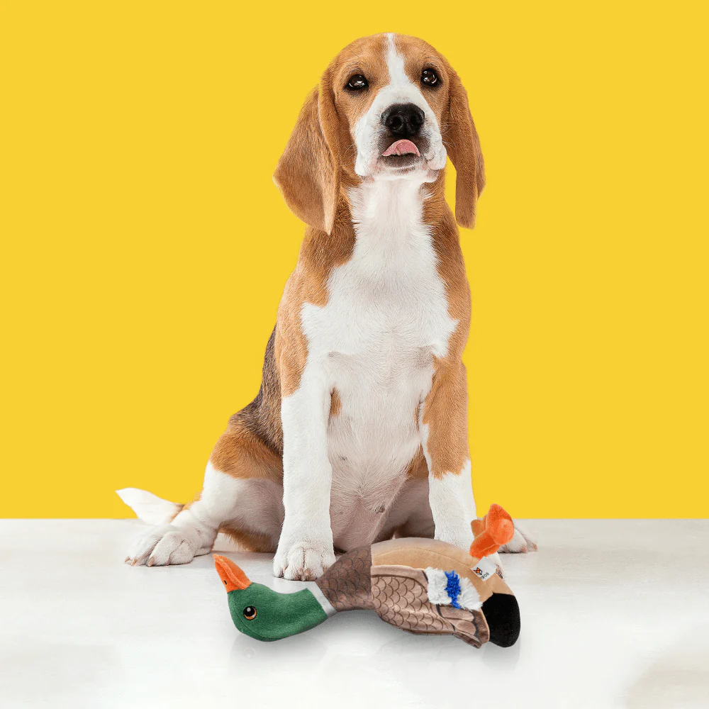 Barkbutler x Fofos Wild Duck Squeaky Plush Toy for Dogs - Image 9
