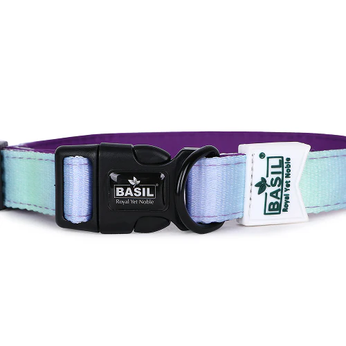 Basil Adjustable Padded Collar for Dogs (Purple/Blue) - Image 4