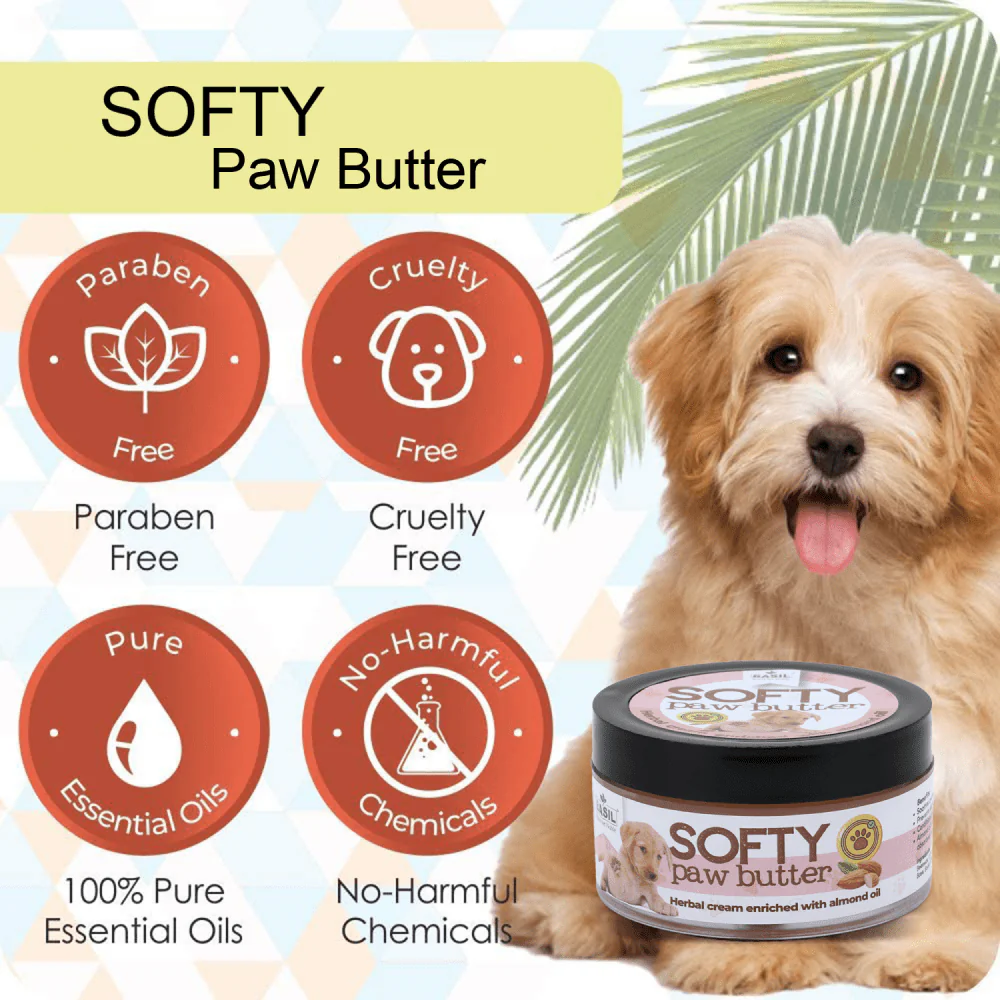 Basil Almond Softy Paw Butter for Dogs - Image 2