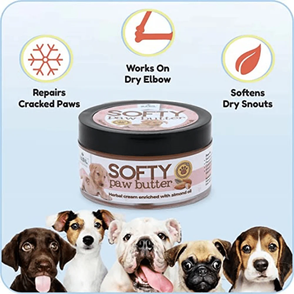 Basil Almond Softy Paw Butter for Dogs - Image 3