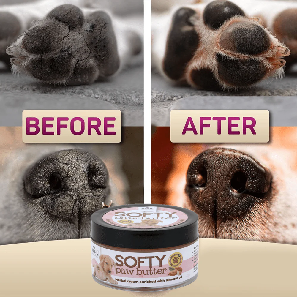 Basil Almond Softy Paw Butter for Dogs - Image 5