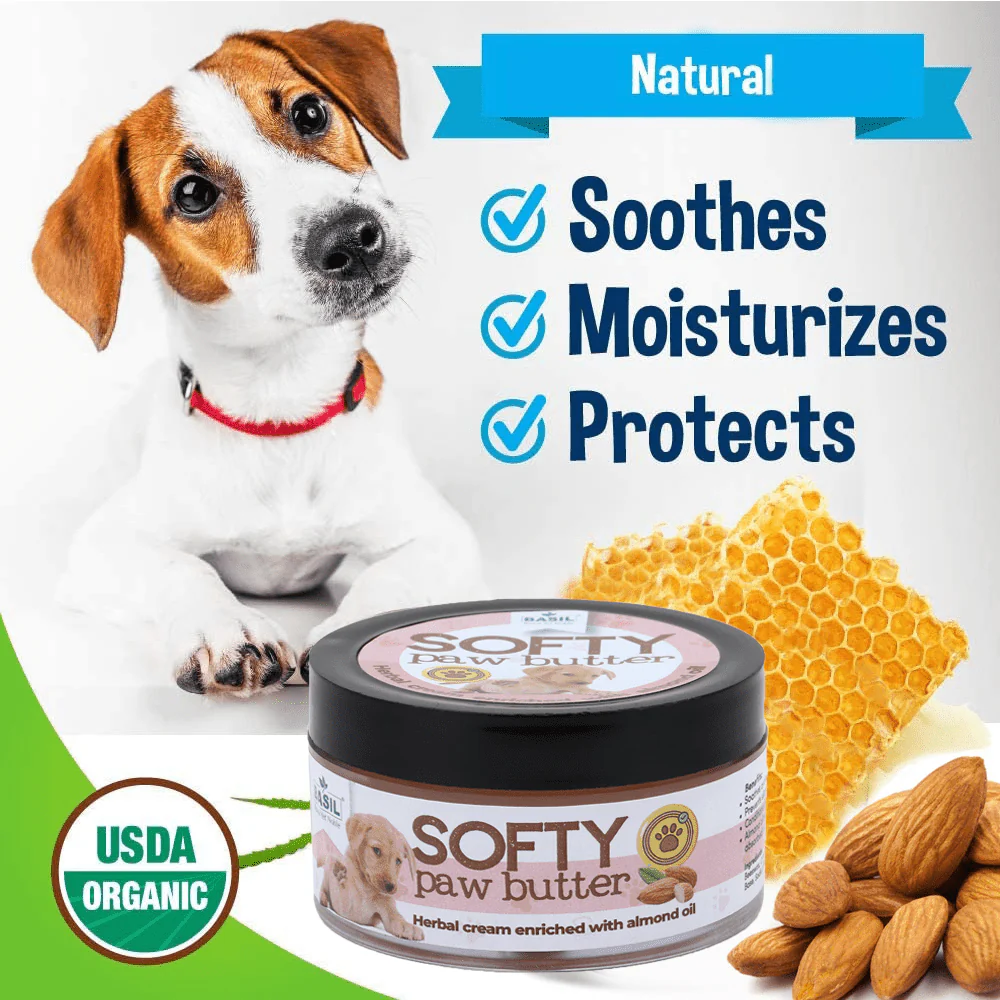 Basil Almond Softy Paw Butter for Dogs - Image 6