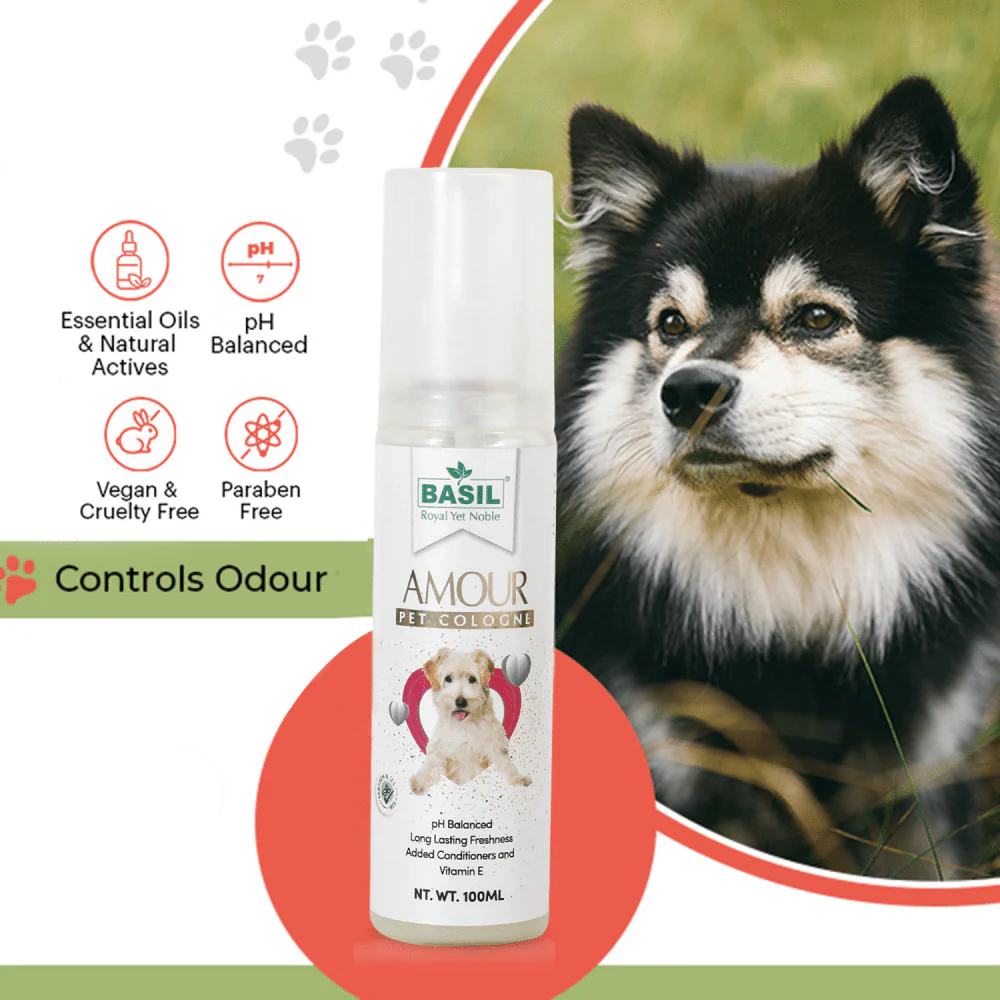 Basil Amour Cologne Spray for Dogs and Cats - Image 4