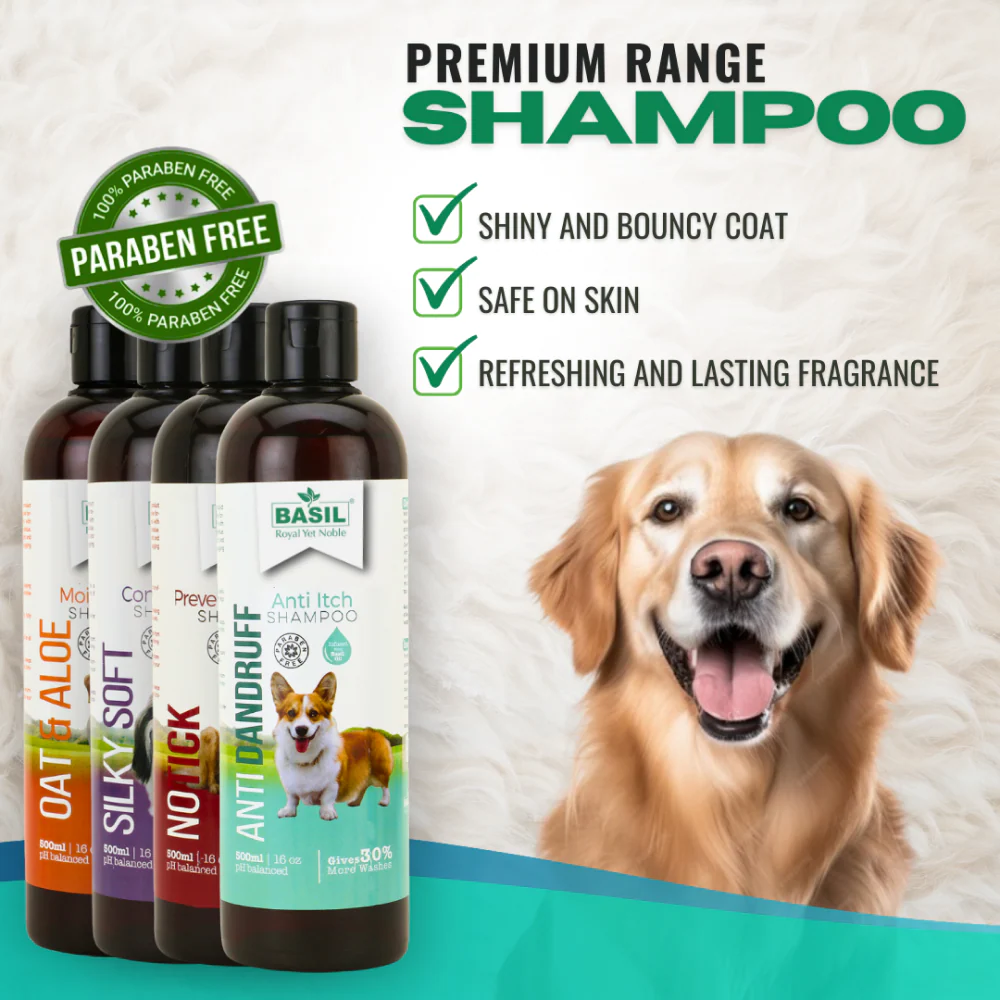Basil Anti Dandruff & Anti Itch Shampoo for Dogs and Cats - Image 4