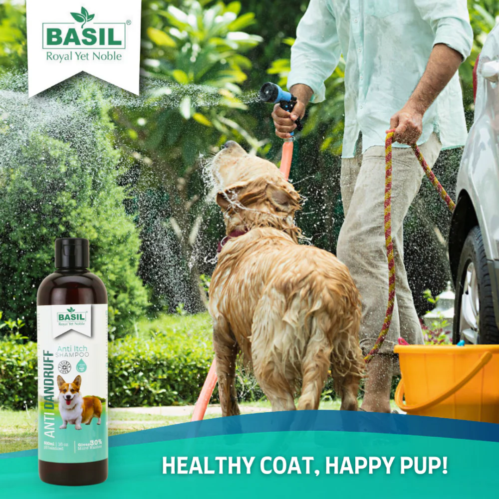 Basil Anti Dandruff & Anti Itch Shampoo for Dogs and Cats - Image 5