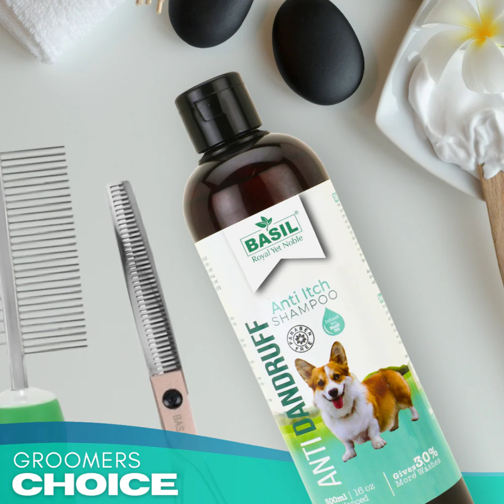 Basil Anti Dandruff & Anti Itch Shampoo for Dogs and Cats - Image 7