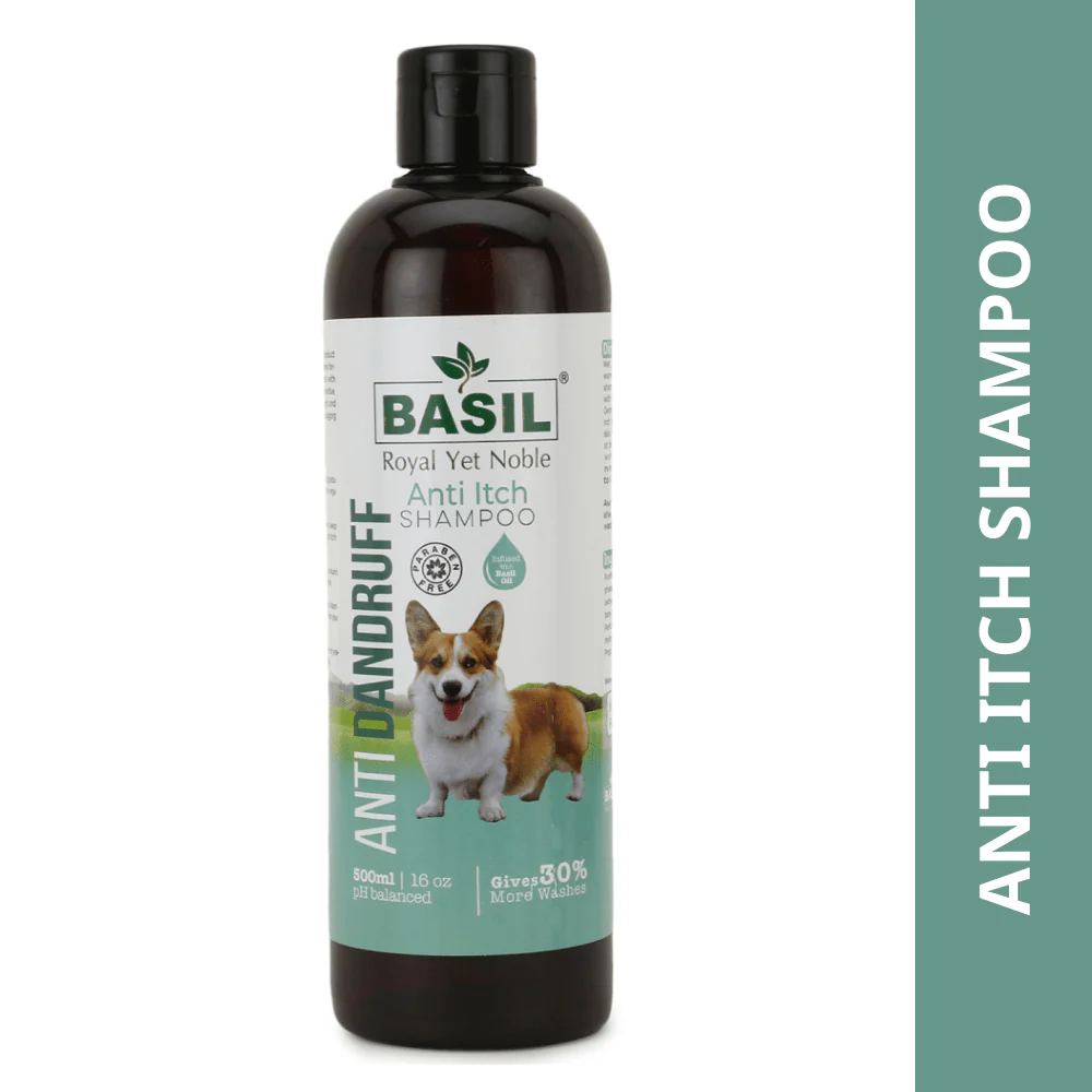 Basil Anti Dandruff & Anti Itch Shampoo for Dogs and Cats - Image 8