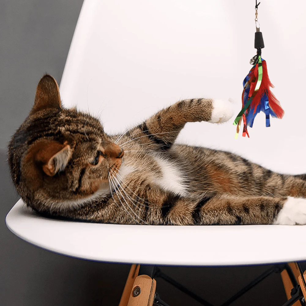 Basil Cat Teaser with Feathers & Bell for Cats - Image 5