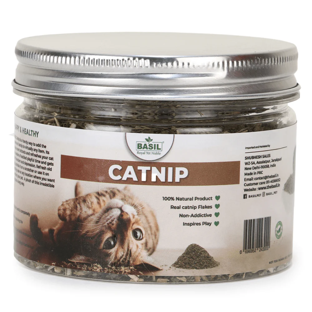 Basil Catnip in a Jar for Cats - Image 3