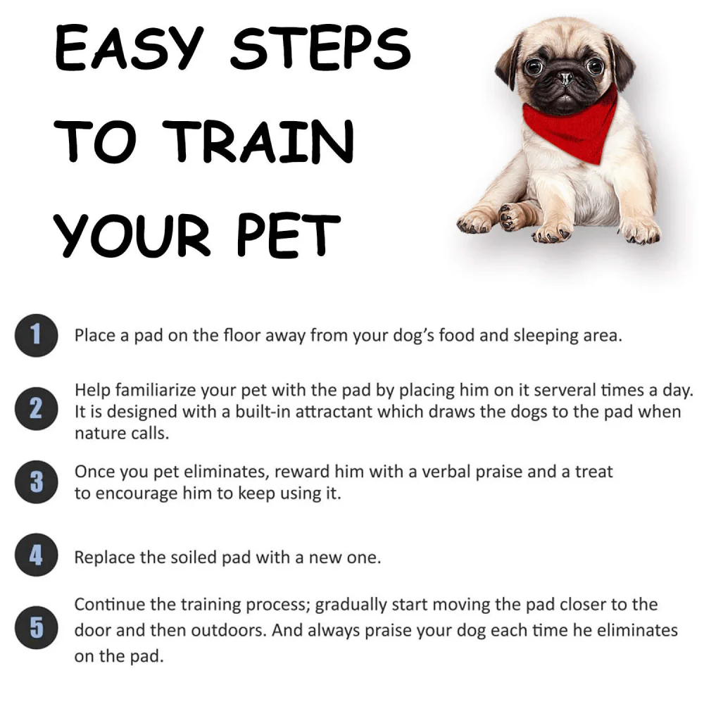 Basil Charcoal Training Pads for Puppies (60x45cm) - Image 7