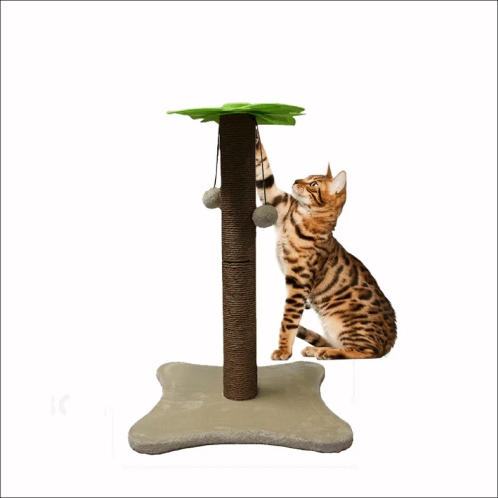 Basil Coconut Tree Toy for Kittens & Cats (Green/Brown) - Image 3