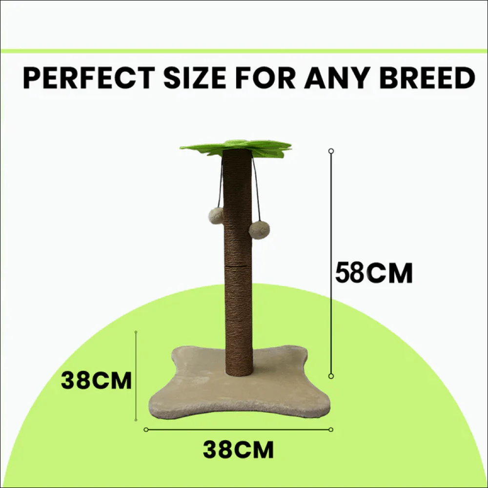 Basil Coconut Tree Toy for Kittens & Cats (Green/Brown) - Image 4