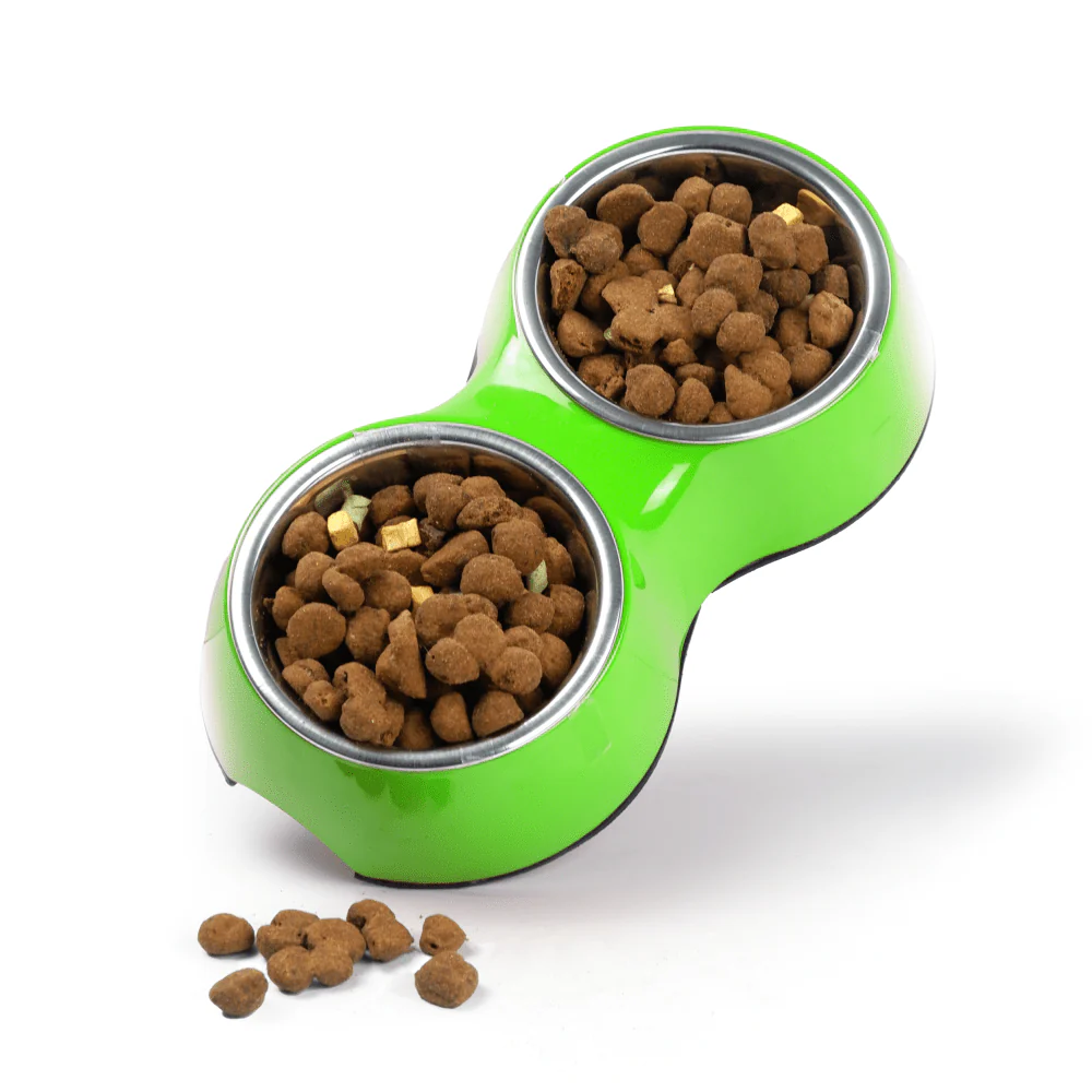 Basil Double Melamine Bowl Dinner Set for Dogs and Cats (Green) - Image 6