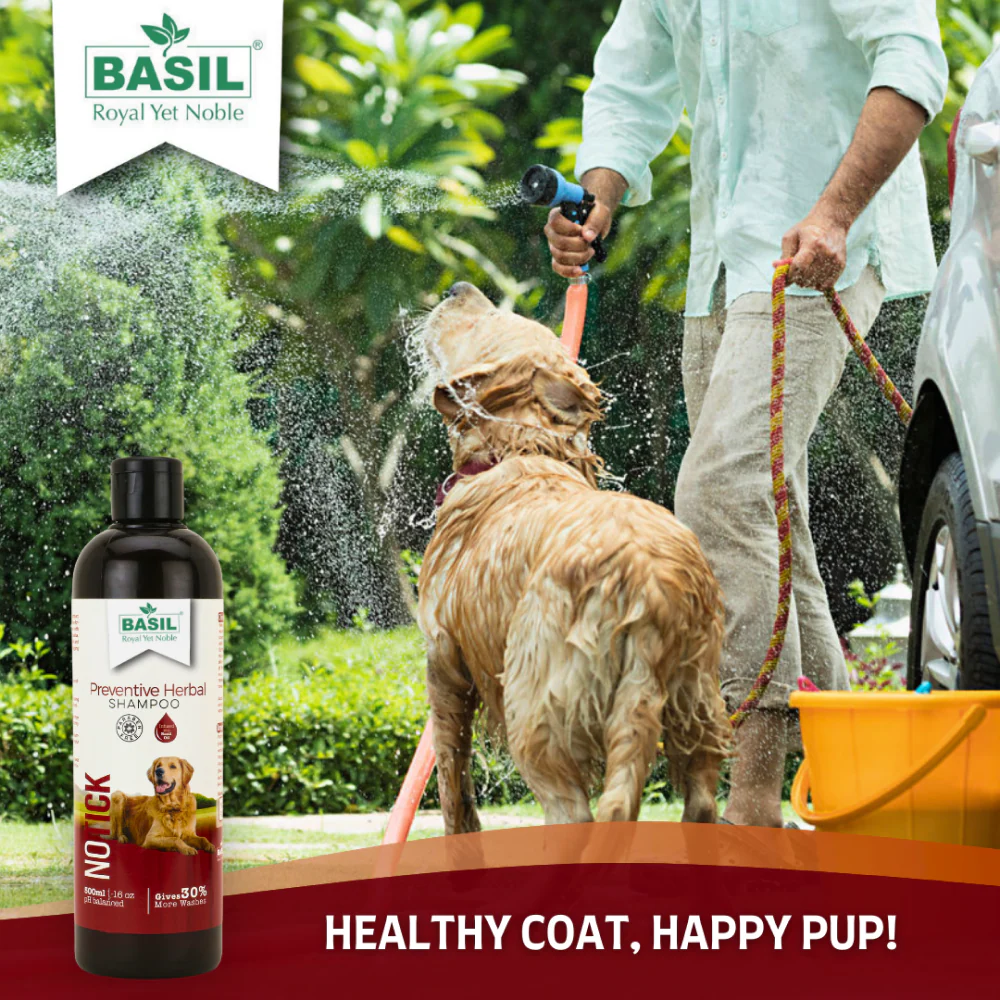 Basil Herbal No Ticks Dog Shampoo - Image 5
