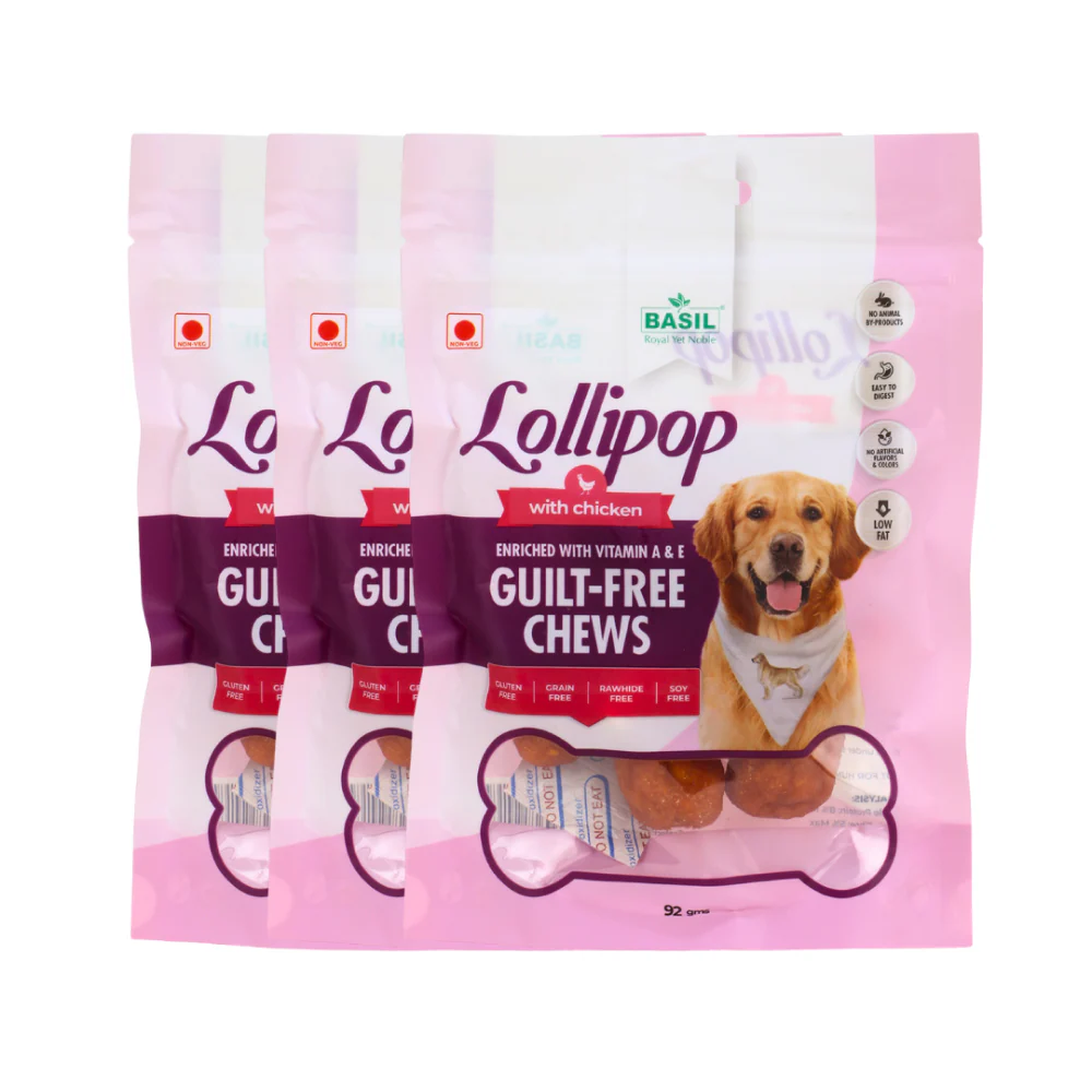 Basil Lollipop with Chicken Dog Chew Treat - Image 5