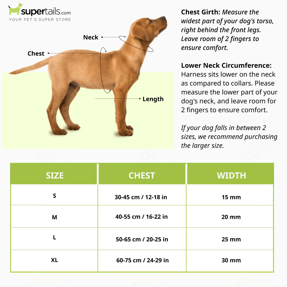Basil Nylon Padded Adjustable Harness for Dogs (Black) - Image 3