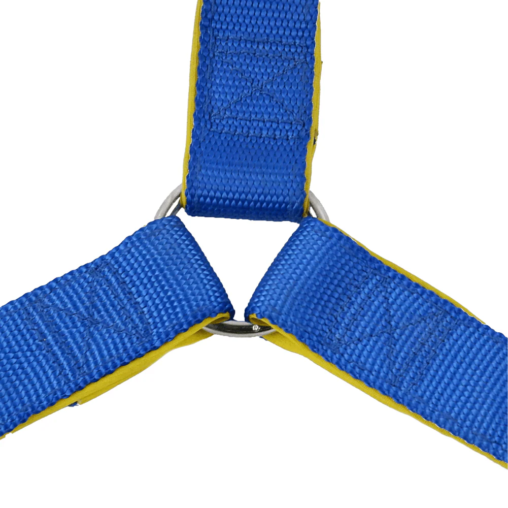Basil Nylon Padded Adjustable Harness for Dogs (Blue) - Image 5