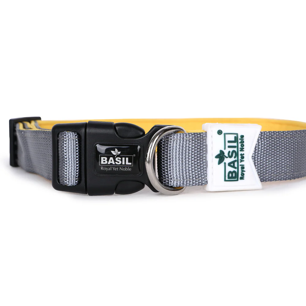Basil Nylon Padded Collar for Dogs (Black) - Image 5