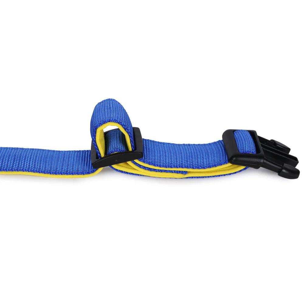 Basil Nylon Padded Collar for Dogs (Blue) - Image 10