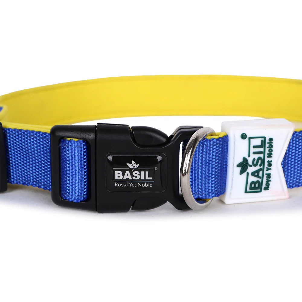 Basil Nylon Padded Collar for Dogs (Blue) - Image 12
