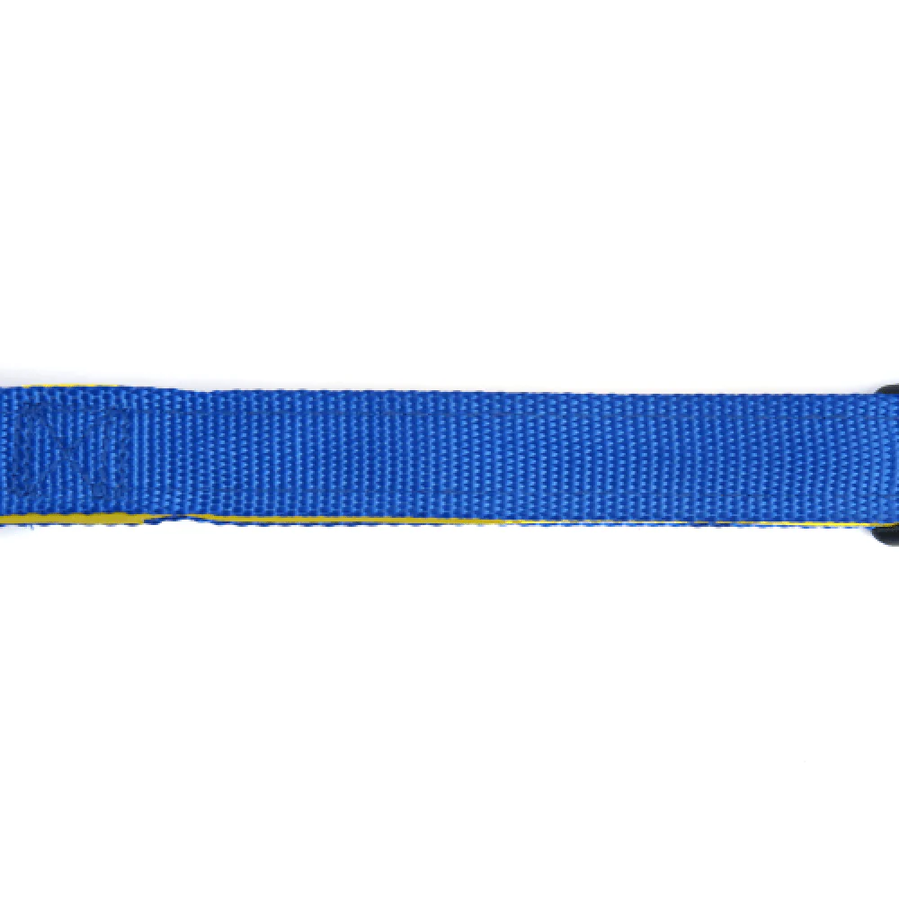 Basil Nylon Padded Collar for Dogs (Blue) - Image 4