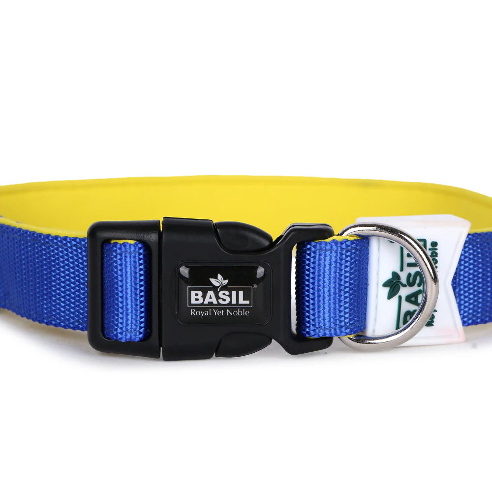 Basil Nylon Padded Collar for Dogs (Blue) - Image 7