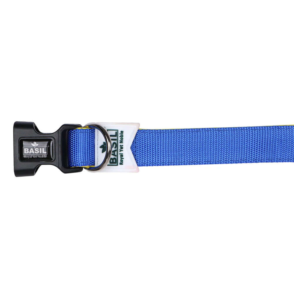 Basil Nylon Padded Collar for Dogs (Blue) - Image 9