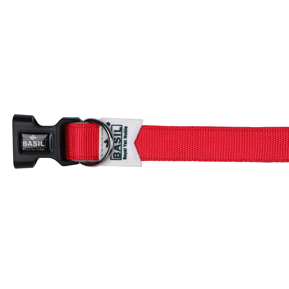 Basil Nylon Padded Collar for Dogs (Red) - Image 3