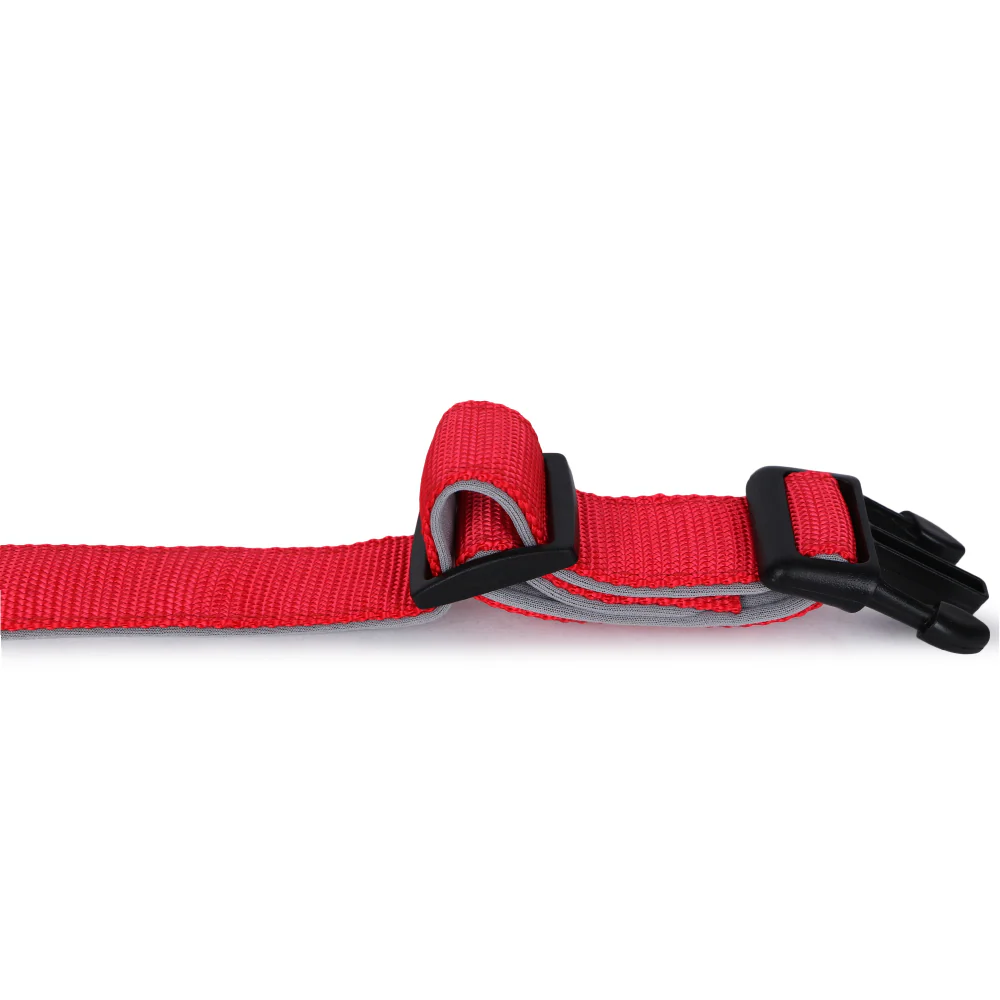 Basil Nylon Padded Collar for Dogs (Red) - Image 3